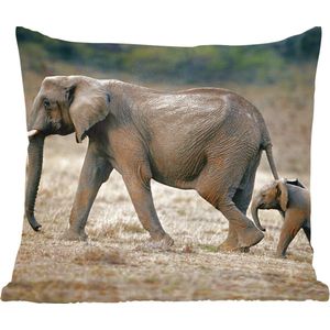 Sierkussens - Kussentjes Woonkamer - 40x40 cm - Olifant - Dieren - Savanne - Natuur