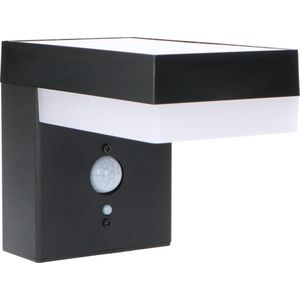 Proventa Solar LED RVS wandlamp buiten met bewegingssensor - Buitenlamp model Lano