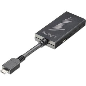 Lindy 41563 video kabel adapter HDMI + USB Zwart