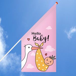 Geboortevlag ooievaar roze - Vlaggen - Kioskvlag - Geboorte - Meisje - Baby - ZoLief
