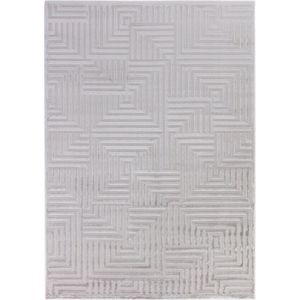 Flycarpets Cara Modern Japandi Cubico Vloerkleed - Zilver - 280x370 cm