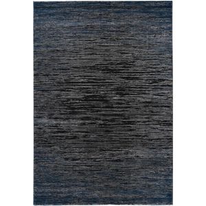 Picasso Pablo Vloerkleed Moderne Tapijten Woonkamer - Grijs / Blauw- 120x170 CM