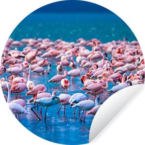 WallCircle - Behangcirkel - Zelfklevend behang - Dieren - Flamingo - Zwart - Wit - Grijs - Behang rond - ⌀ 120 cm - Behangcirkel zelfklevend - Behangcirkel dieren - Behangsticker