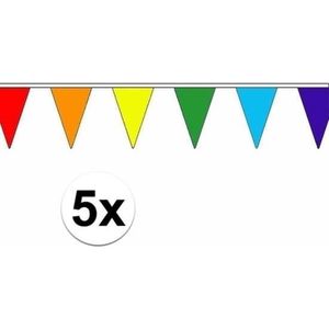 5 stuks vlaggetjes vlaggenlijn regenboog - 5 meter - slingers