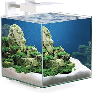 Ciano nexus pure led 15 - nano aquarium - 14L