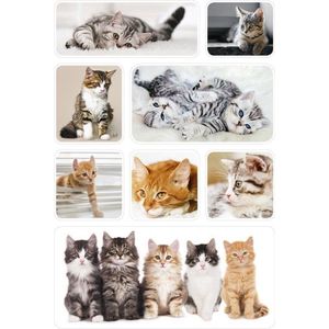 72x Poes/kat/kitten dieren stickers - kinderstickers - stickervellen - knutselspullen