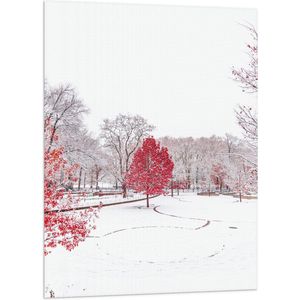 WallClassics - Vlag - Rode Boom in Witte Sneeuw - 70x105 cm Foto op Polyester Vlag