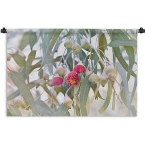 Wandkleed Eucalyptus - Roze eucalyptusbloemen tussen de bladeren Wandkleed katoen 150x100 cm - Wandtapijt met foto