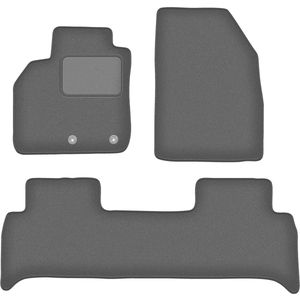 Grafiet automatten voor: Renault Scenic III minivan (2009-2016)