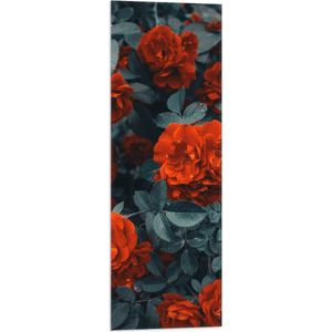 WallClassics - Vlag - Rode Volle Bloemen in Donkergroene Struik - 30x90 cm Foto op Polyester Vlag