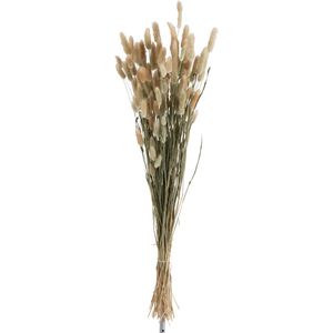 J-Line Droogbloemen - droogboeket - bundel pluim - gedroogd gras - naturel - woonaccessoires