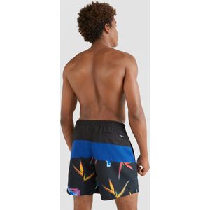 O´neill Frame Block Zwembroek Blauw L Man