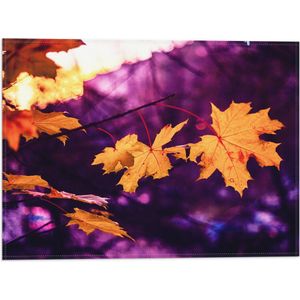 WallClassics - Vlag - Oranje Herfstbladeren met Paarse Achtergrond - 40x30 cm Foto op Polyester Vlag