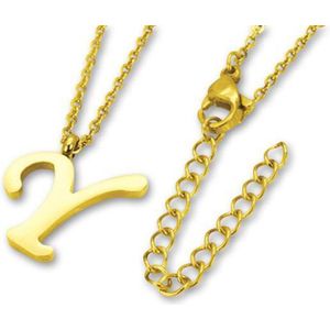 Amanto Ketting Letter Y Gold - 316L Staal - Alfabet - 17x16mm - 50cm
