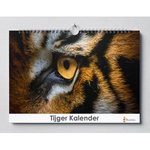 Tijgers verjaardagskalender 35x24 cm | Wandkalender | Tijger kalender