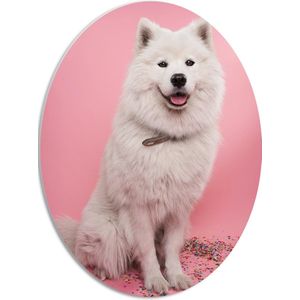 WallClassics - PVC Schuimplaat Ovaal - Portret van Witte Hond tegen Roze Achtergrond met Confetti - 42x56 cm Foto op Ovaal (Met Ophangsysteem)