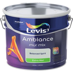Levis Ambiance Muurverf Mix - Extra Mat - Balanced Spirit - 10L
