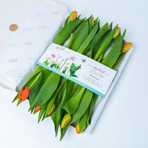 Bloomgift | Oranje tulpen | Brievenbus tulpen | Vrolijk brievenbus cadeau