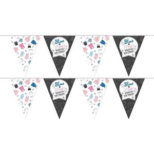 2x Vlaggenlijnen gender reveal party/feest slingers 10 meter - Gender reveal party decoratie