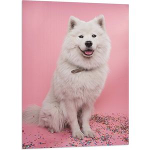 WallClassics - Vlag - Portret van Witte Hond tegen Roze Achtergrond met Confetti - 70x105 cm Foto op Polyester Vlag