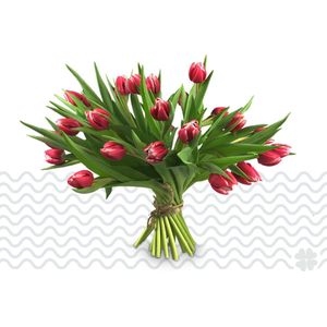 Verse bloemen boeket TULPEN (cadeau voor haar) - Rood / Wit - 50 per bos