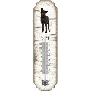 Thermometer: Austrailian Celpie | Hondenras | Temperatuur binnen en buiten | -25 tot +45C