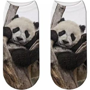 Enkelsokken Panda - Pandaberen enkelsokken - Fotoprint - Unisex Maat 36-41