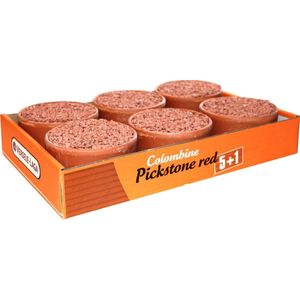 Colombine Piksteen Rood 6x650 g Tray 5+1