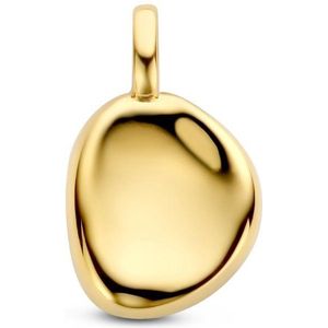 Hanger Zilver Verguld (Geel)