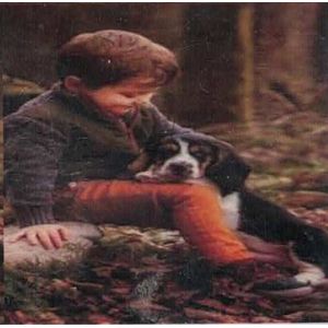 Diamond Painting Volwassenen - Jongen - Hond - 40x50cm - Ronde Steentjes - Jongen en Hond