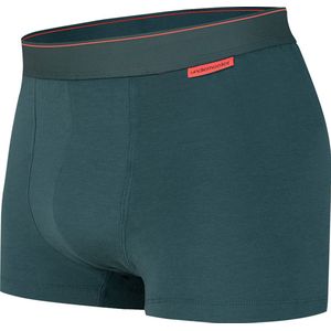 Undiemeister - Boxershort - Boxershort heren - Ondergoed - Onderbroek mannen - Gemaakt van Mellowood - Boxer briefs - Misty Forest (groen) - 1 Stuk - L