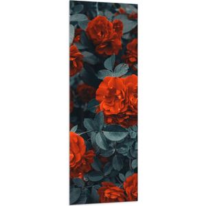 WallClassics - Vlag - Rode Volle Bloemen in Donkergroene Struik - 50x150 cm Foto op Polyester Vlag
