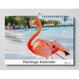 Cadeautip! Flamingo kalender 35x24 cm | Flamingo verjaardagskalender |Flamingo wandkalender| Kalender 35 x 24 cm