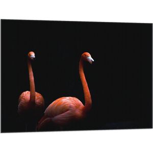 WallClassics - Vlag - Twee Flamingo's tegen Zwarte Achtergrond - 100x75 cm Foto op Polyester Vlag