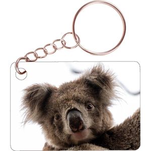 Sleutelhanger 6x4cm - Koala - Foto Close Up