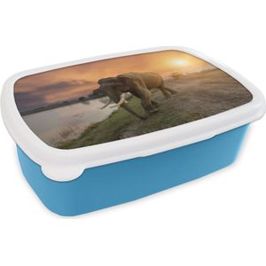 Broodtrommel Blauw - Lunchbox - Brooddoos - Olifant loopt richting het meer - 18x12x6 cm - Kinderen - Jongen