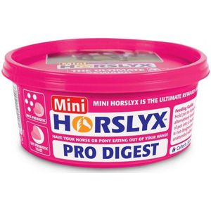 Horslyx Mini - Pro Digest - 650gr - paardensnoepjes