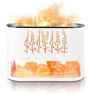 2-in-1 etherische oliën diffuser & natuurlijke Himalaya zoutlamp luchtbevochtiger - 7 kleuren - automatische uitschakeling - kantoor spa slaapkamer - wit luchtbevochtiger