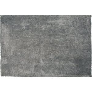EVREN - Shaggy vloerkleed - Grijs - 200 x 300 cm - Polyester
