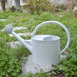 5 liter gegalvaniseerde stalen gieter, decoratieve witte gieter in boerderijstijl, metalen gieter, verwijderbare rozetverspreider, perfect voor gebruik binnen en buiten