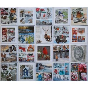 Winterkaarten - Zonder tekst - 20 Stuks - 12 x 11 cm - K-119