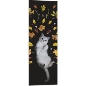 WallClassics - Vlag - Liggende Kat omringt door Blaadjes - 30x90 cm Foto op Polyester Vlag