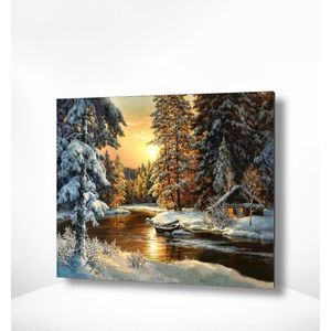 Painting Expert® Schilderen op nummer Volwassenen - Schilderen op nummer Kinderen - Zonsondergang Bos - 40x50cm - Exclusief Lijst (24 kleurtjes)