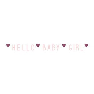 Letterslinger - Geboorte slinger - Geboorte meisje -  Hello baby girl - 1 meter karton - roze
