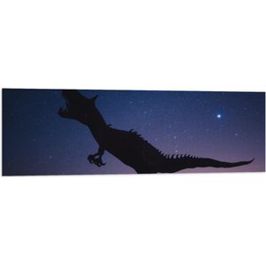 WallClassics - Vlag - Silhouette van een Dinosaurus in de Nacht - 120x40 cm Foto op Polyester Vlag
