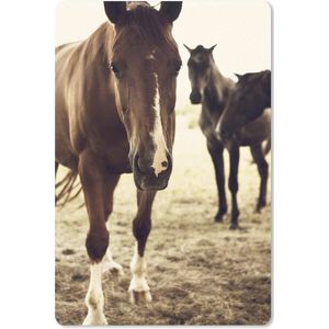 Paarden sepia fotoprint