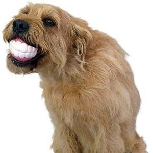 2 Stuks Willekeurige Kleur Honden Puppy Bal Tanden Siliconen Kauw Speelgoed Met Geluid Grappig Speelgoed Hond Accessoires Hond Speelgoed Voor Grote Honden