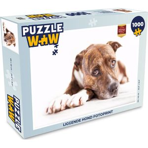 Puzzel Liggende hond fotoprint - Legpuzzel - Puzzel 1000 stukjes volwassenen