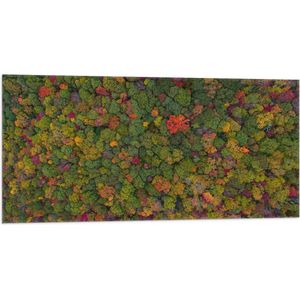 WallClassics - Vlag - Rood Groen en Gele Bomen in het Bos vanuit de Lucht - 100x50 cm Foto op Polyester Vlag