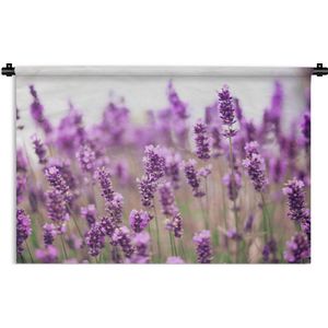 Wandkleed De lavendel - Close up van zonovergoten lavendelveld Wandkleed katoen 90x60 cm - Wandtapijt met foto